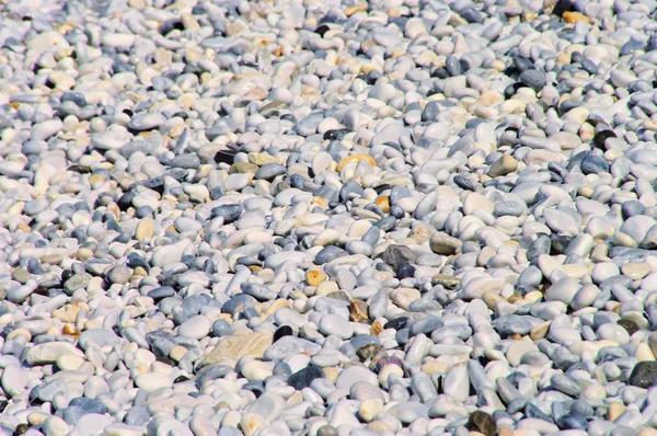 Kieselstrand Toskana - галечный пляж Тосканы 02 — стоковое фото