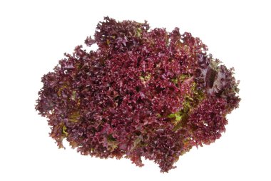 barda perimetral en dinard Costa, Bretaña, Francia