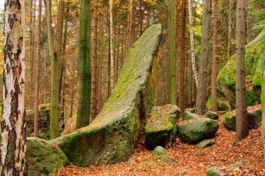 sandsteinfelsen im wald - kumtaşı kaya orman 12