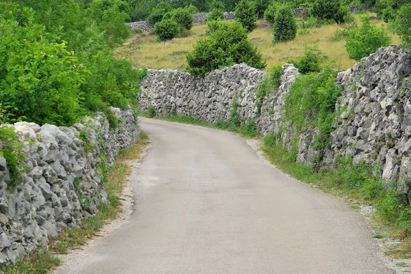 Cres Trockenmauern mit Weg — Stok fotoğraf