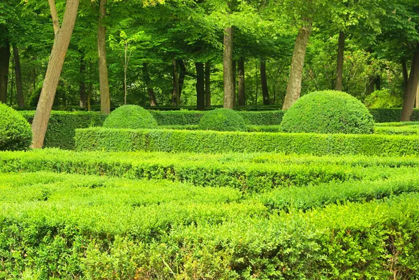 Um belo parque verde . — Fotografia de Stock