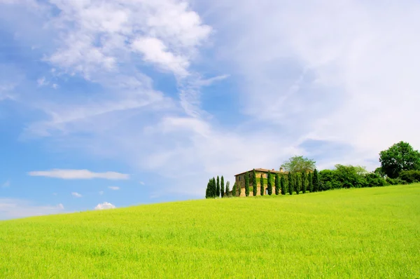 Il paesaggio e la vista della fattoria — Foto Stock