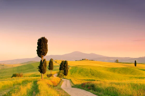 Il paesaggio e la vista della fattoria Terrapille — Foto Stock