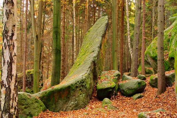 Sandsteinfelsen im Wald - sandstone rock in forest 12 — Stock Photo, Image