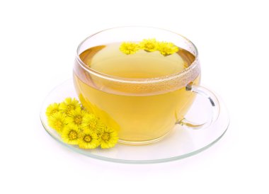 tee huflattich - çay coltsfoot 09