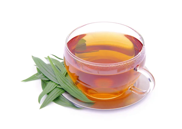 Herbata spitzwegerich - herbaty ribwort babki 04 — Zdjęcie stockowe