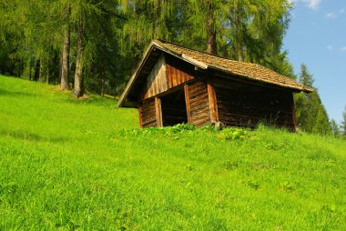 Almhette - chalet 01