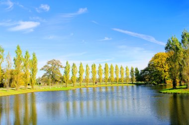 Woerlitzer Park See - English Grounds of Woerlitz lake 15