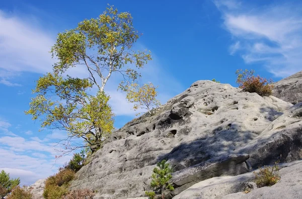 Montaña Gamrig 14 — Foto de Stock