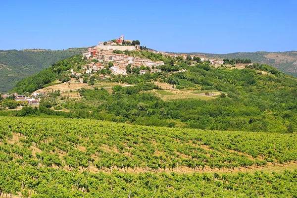 Motovun-02 — Stockfoto