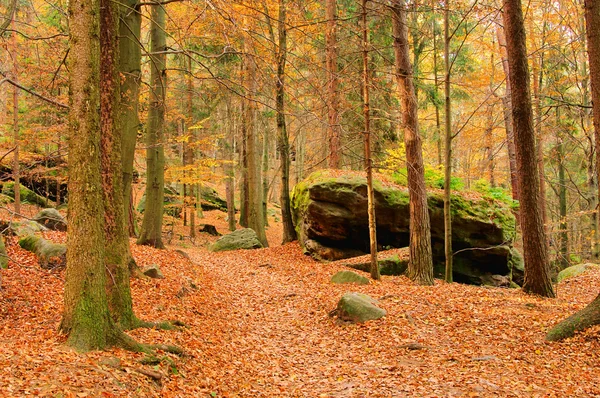 Sandstone rock in forest 01 — Stock Photo, Image