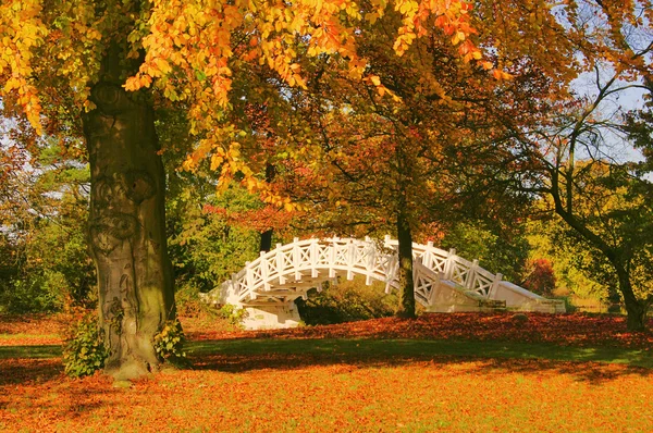 English Grounds of Woerlitz White Bridge 07 — Stock Photo, Image