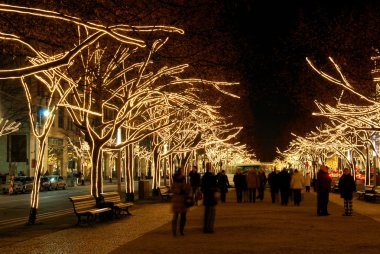 Noel 03 Berlin unter den linden weihnachten - berlin altında ıhlamur ağaçları