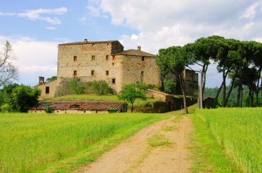 Castellina Scalo 01
