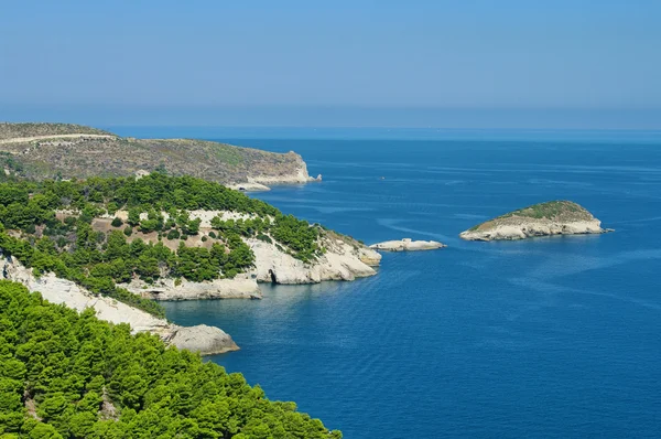 Gargano kueste - ακτή του gargano 05 — Φωτογραφία Αρχείου