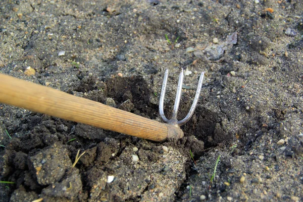 Gartenarbeit - trädgårdsskötsel 07 — Stockfoto