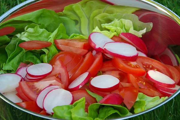 Gemischter Salat - mixed salad 02 — Stock Photo, Image