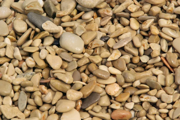 Kiesel am Strand - pebble on the beach 41 — Stock Photo, Image