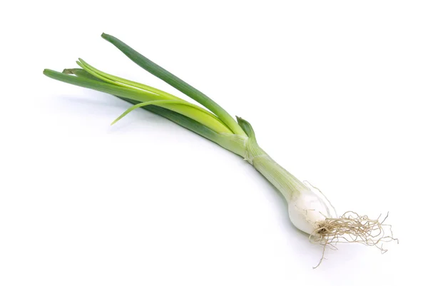 Lauchzwiebel - spring onion 01 — Stock Photo, Image