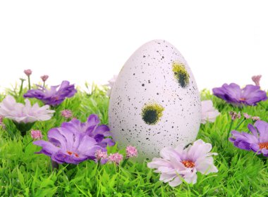 ostereier auf blumenwiese - Paskalya yumurtaları üzerine çiçek çayır 43