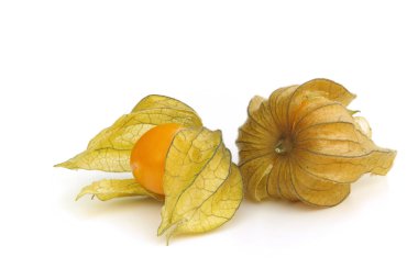 Physalis 03
