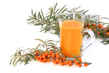 sanddorn saft - attıkça diken suyu 04