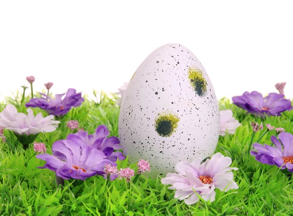 Ostereier auf Blumenwiese - easter eggs on flower meadow 43 — Stock Photo, Image