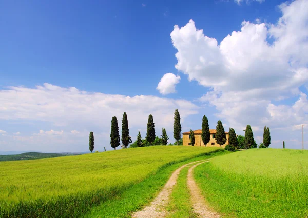 Tuscany rumah dan pohon Cypress — Stok Foto