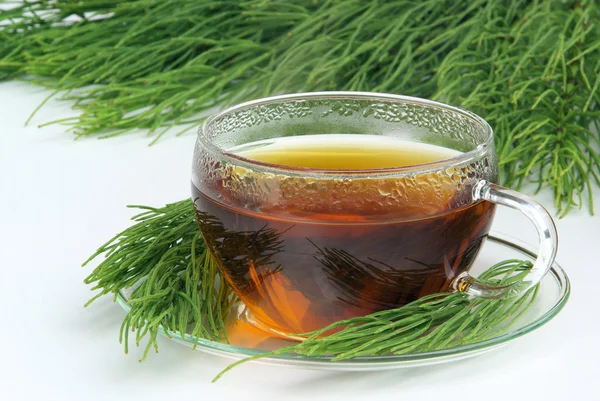 Herbata ackerschachtelhalm - herbaty polny skrzyp 05 — Zdjęcie stockowe