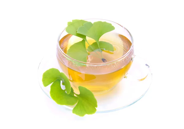Herbata miłorząb – herbata ginkgo 09 — Zdjęcie stockowe