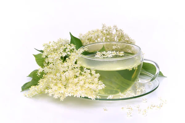Holunderblete - herbata herbata kwiat starszy 05 — Zdjęcie stockowe