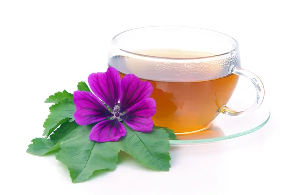 Trójnik Walliser - malva herbaty 06 — Zdjęcie stockowe