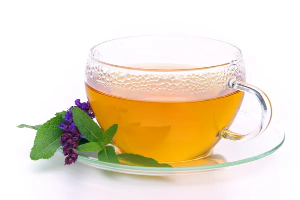 Herbata salbei - herbaty szałwi 05 — Zdjęcie stockowe
