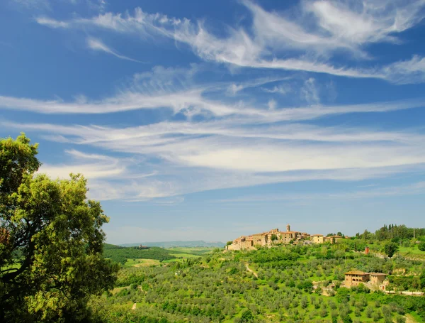 Castelmuzio — Stock Fotó