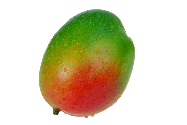 Mango isolated on a white background — Stock Photo, Image