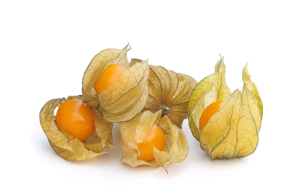 Physalis — Foto Stock