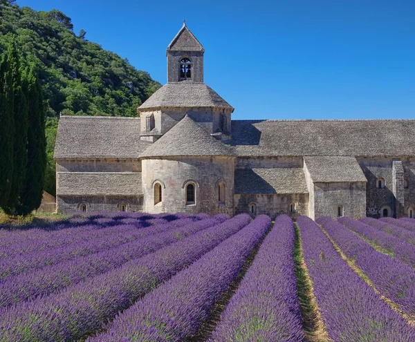 Senanque — Stock Photo, Image