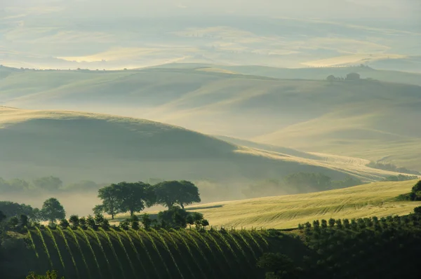 Toscana hills — Stockfoto