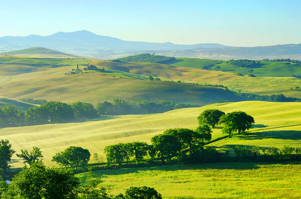 Toscana verdes colinas en Italia — Foto de Stock