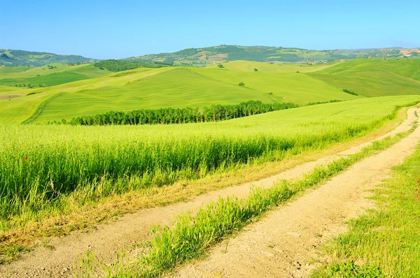 Tuscany hills — Stock Photo, Image