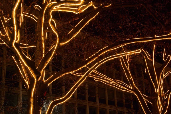 柏林菩提树下的树圣诞 — 图库照片