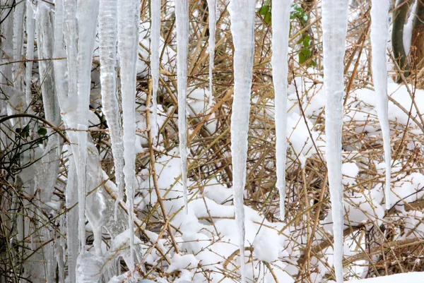 Eiszapfen — Stockfoto