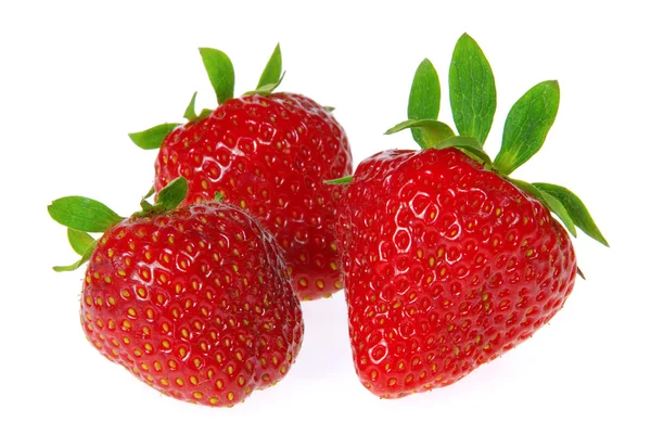 Strawberry isolated — Stock Photo, Image