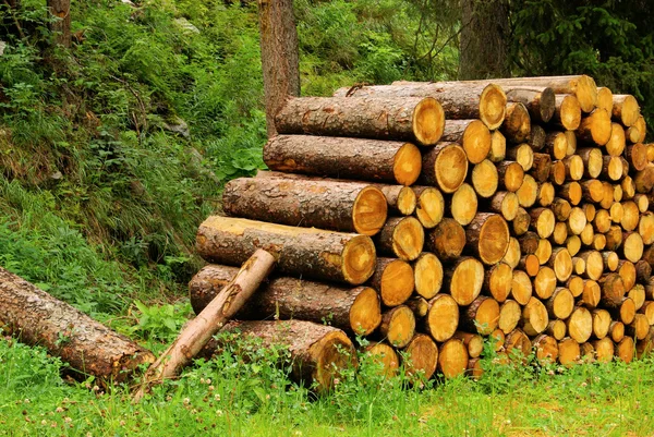 Stack of wood — Stock Photo, Image