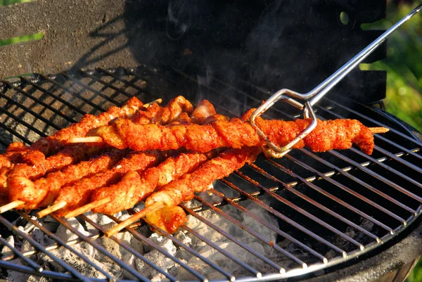 Meat on stick grilled — Stock Photo, Image