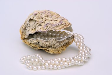 istiridye inci necklet ile