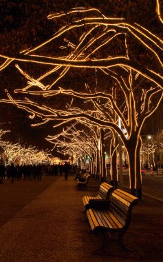Berlin linden altında Noel ağaçları