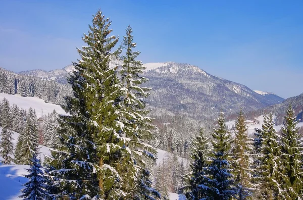 Alpes montañas en invierno — Foto de Stock