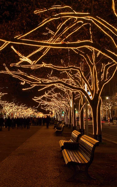 柏林菩提树下的树圣诞 — 图库照片