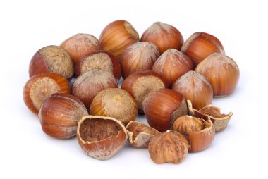 fındık